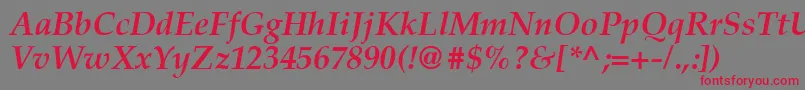 Latinopal6Bolditalicsh Font – Red Fonts on Gray Background