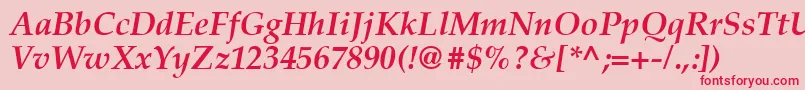 Latinopal6Bolditalicsh Font – Red Fonts on Pink Background