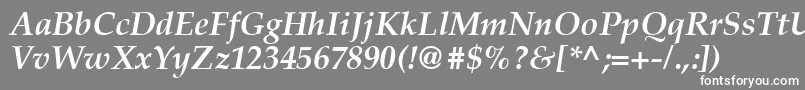 Latinopal6Bolditalicsh Font – White Fonts on Gray Background
