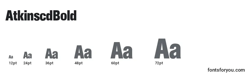AtkinscdBold Font Sizes
