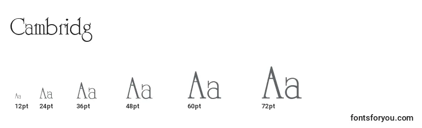 sizes of cambridg font, cambridg sizes