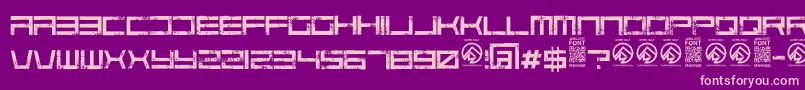 CodepredatorsRegular Font – Pink Fonts on Purple Background