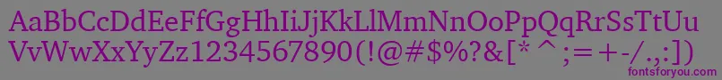 CharterItcTt Font – Purple Fonts on Gray Background