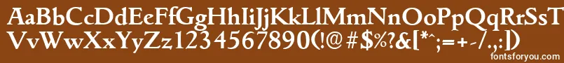 GouditaserialBold Font – White Fonts on Brown Background