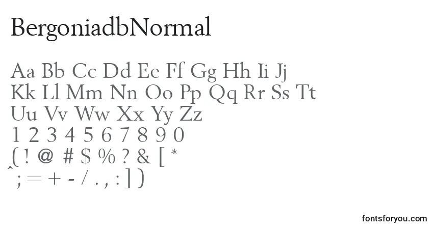 Шрифт BergoniadbNormal – алфавит, цифры, специальные символы