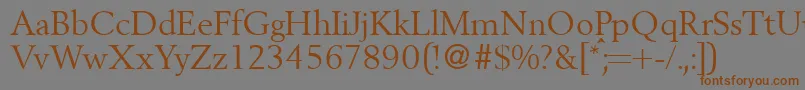 BergoniadbNormal Font – Brown Fonts on Gray Background