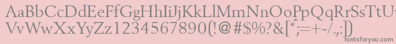 BergoniadbNormal Font – Gray Fonts on Pink Background