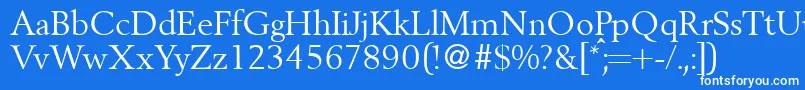 BergoniadbNormal Font – White Fonts on Blue Background