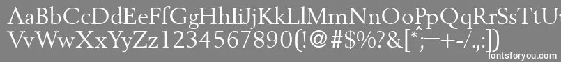 BergoniadbNormal Font – White Fonts on Gray Background