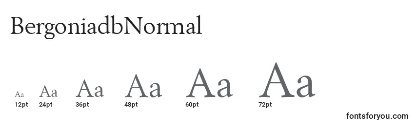 Размеры шрифта BergoniadbNormal