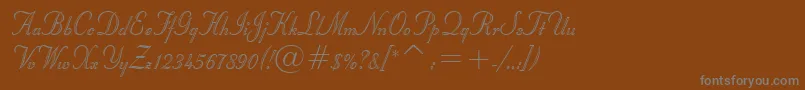 フォントStuyvesantBt – 茶色の背景に灰色の文字