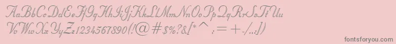StuyvesantBt-Schriftart – Graue Schriften auf rosa Hintergrund