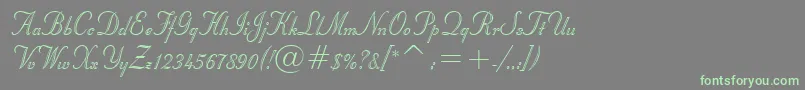 フォントStuyvesantBt – 灰色の背景に緑のフォント