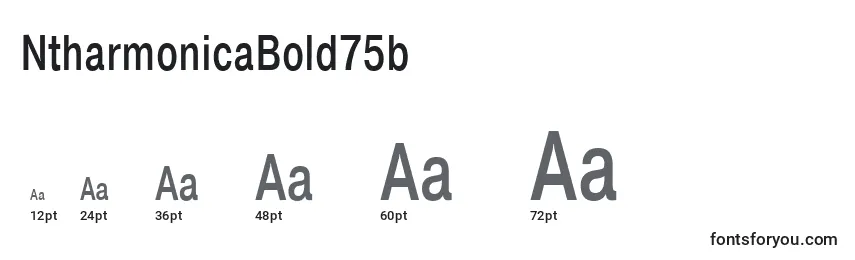 Размеры шрифта NtharmonicaBold75b