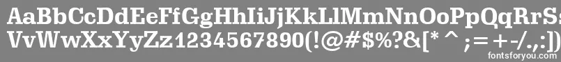 フォントSchadowBoldBt – 灰色の背景に白い文字