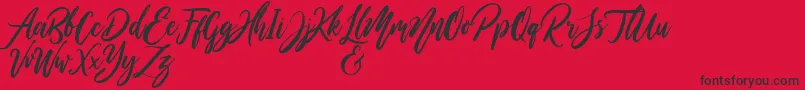 WildOnesPersonalUse-Schriftart – Schwarze Schriften auf rotem Hintergrund