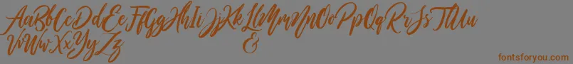 Шрифт WildOnesPersonalUse – коричневые шрифты на сером фоне