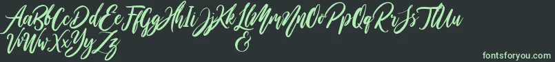 Шрифт WildOnesPersonalUse – зелёные шрифты на чёрном фоне