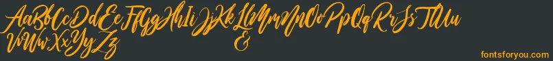 WildOnesPersonalUse Font – Orange Fonts on Black Background