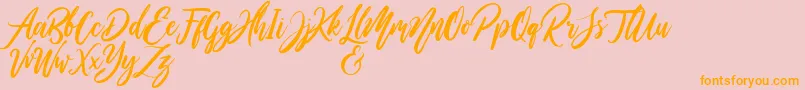 WildOnesPersonalUse Font – Orange Fonts on Pink Background