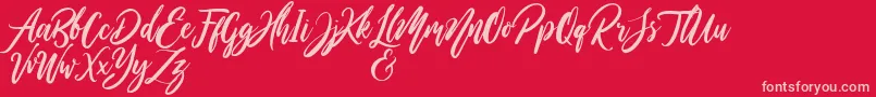 WildOnesPersonalUse-Schriftart – Rosa Schriften auf rotem Hintergrund