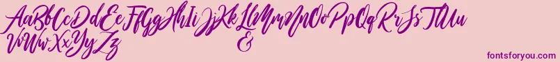 Шрифт WildOnesPersonalUse – фиолетовые шрифты на розовом фоне