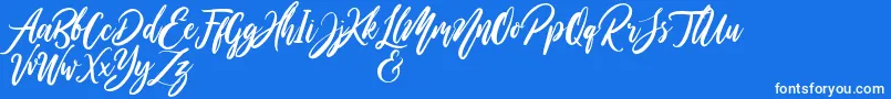 WildOnesPersonalUse-Schriftart – Weiße Schriften auf blauem Hintergrund