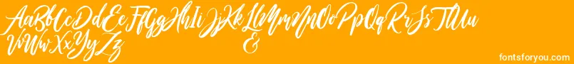 WildOnesPersonalUse-Schriftart – Weiße Schriften auf orangefarbenem Hintergrund