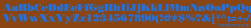 BodoniPosterSsi Font – Blue Fonts on Brown Background