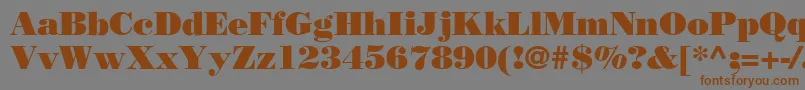 BodoniPosterSsi Font – Brown Fonts on Gray Background