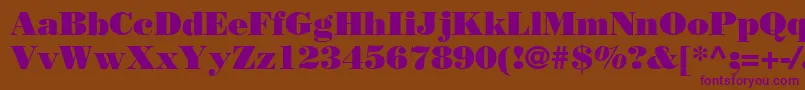 BodoniPosterSsi Font – Purple Fonts on Brown Background