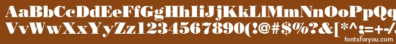 BodoniPosterSsi-Schriftart – Weiße Schriften auf braunem Hintergrund