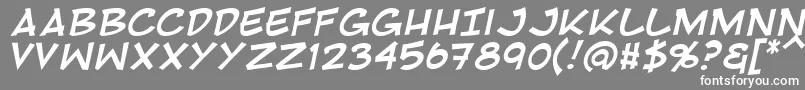 フォントRivenshieldItalic – 灰色の背景に白い文字