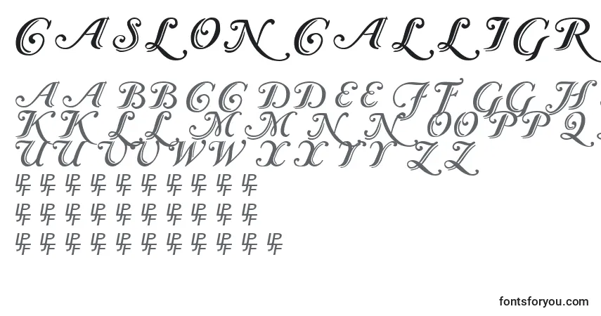 Шрифт CaslonCalligraphicInitials – алфавит, цифры, специальные символы