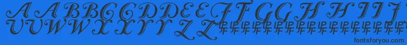 CaslonCalligraphicInitials-Schriftart – Schwarze Schriften auf blauem Hintergrund