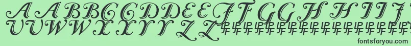 Fonte CaslonCalligraphicInitials – fontes pretas em um fundo verde