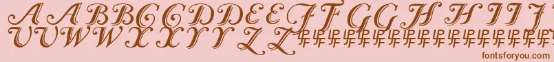 Czcionka CaslonCalligraphicInitials – brązowe czcionki na różowym tle