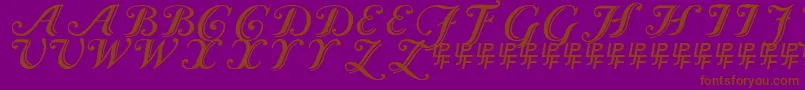 CaslonCalligraphicInitials Font – Brown Fonts on Purple Background