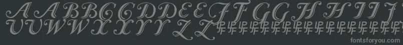 Czcionka CaslonCalligraphicInitials – szare czcionki na czarnym tle