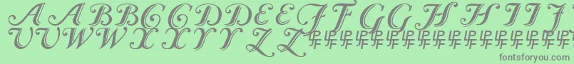 CaslonCalligraphicInitials Font – Gray Fonts on Green Background