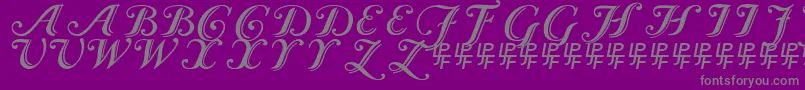 CaslonCalligraphicInitials-Schriftart – Graue Schriften auf violettem Hintergrund