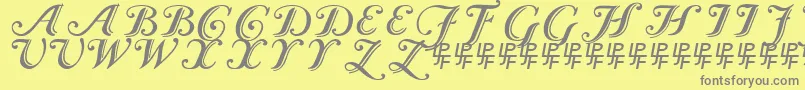 fuente CaslonCalligraphicInitials – Fuentes Grises Sobre Fondo Amarillo