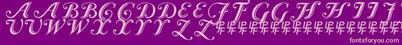 CaslonCalligraphicInitials-Schriftart – Rosa Schriften auf violettem Hintergrund