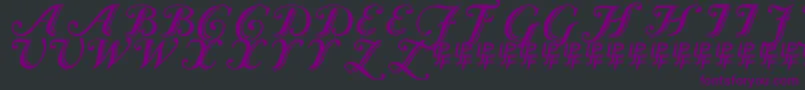 CaslonCalligraphicInitials Font – Purple Fonts on Black Background