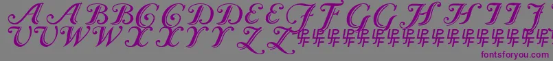 CaslonCalligraphicInitials-Schriftart – Violette Schriften auf grauem Hintergrund