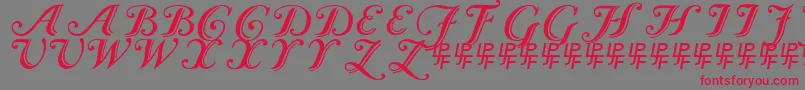 Czcionka CaslonCalligraphicInitials – czerwone czcionki na szarym tle