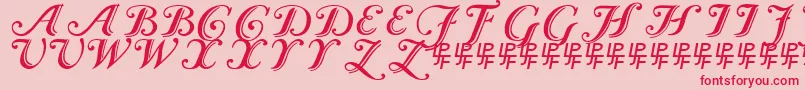 Czcionka CaslonCalligraphicInitials – czerwone czcionki na różowym tle