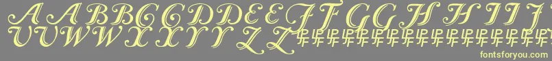 CaslonCalligraphicInitials-fontti – keltaiset fontit harmaalla taustalla