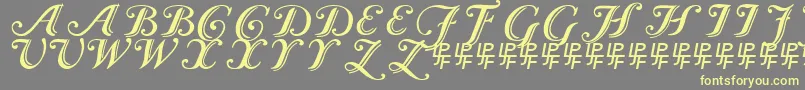 Czcionka CaslonCalligraphicInitials – żółte czcionki na szarym tle