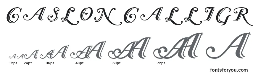 CaslonCalligraphicInitials Font Sizes